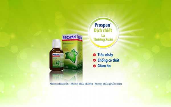 Thuốc ho Prospan có thành phần chính là dịch chiết độc quyền EA575™ từ lá thường xuân. 