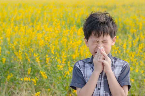 Các dị nguyên như phấn hoa, khói bụi… cũng là nguyên nhân gây ho có đờm ở trẻ
