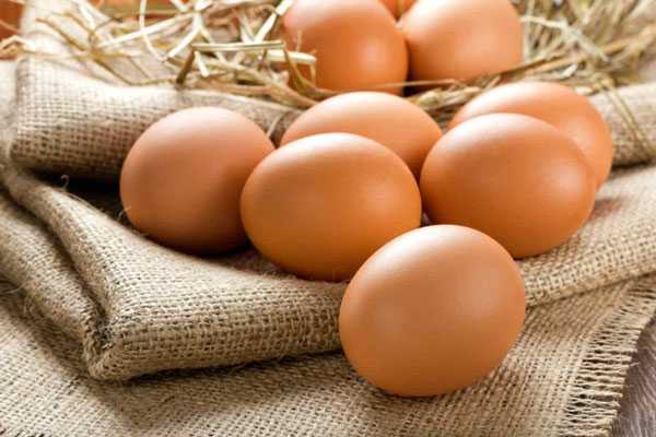Trứng gà - món ăn quen thuộc bổ dưỡng trong gia đình có tác dụng giúp cải thiện ho tốt